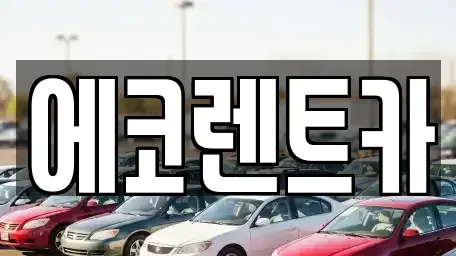 광주광역시 북구 삼각동 렌트카 전문 에코렌트카