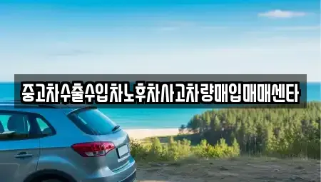 광주광역시 북구 삼각동 중고차 전문 중고차수출수입차노후차사고차량매입매매센타