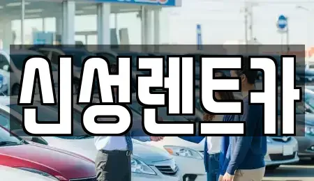 광주광역시 북구 오치동 렌트카 전문 신성렌트카
