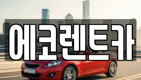 광주광역시 북구 오치동 렌트카 전문 에코렌트카