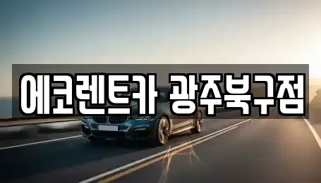 광주광역시 북구 오치동 장기렌트카 전문 에코렌트카 광주북구점