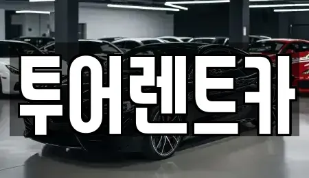 광주광역시 북구 오치동 장기렌트카 전문 투어렌트카