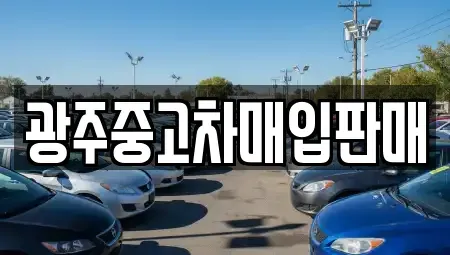 광주광역시 북구 오치동 중고차 전문 광주중고차매입판매