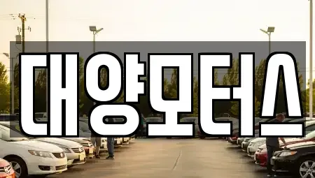 광주광역시 북구 오치동 중고차 전문 대양모터스