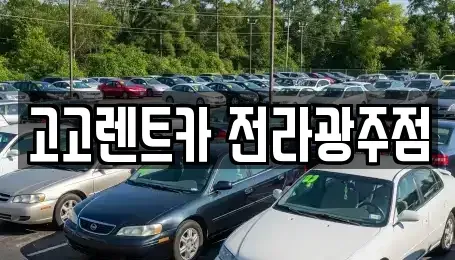 광주광역시 서구 쌍촌동 렌트카 전문 고고렌트카 전라광주점