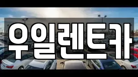 광주광역시 서구 쌍촌동 렌트카 전문 우일렌트카