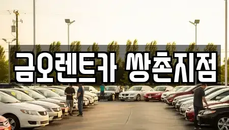 광주광역시 서구 쌍촌동 장기렌트카 전문 금오렌트카 쌍촌지점