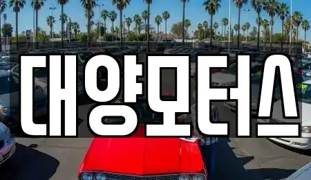 광주광역시 서구 쌍촌동 중고차매매 전문 대양모터스