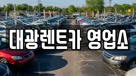 광주광역시 서구 풍암동 렌트카 전문 대광렌트카 영업소