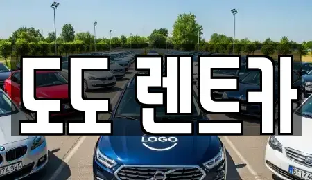 광주광역시 서구 풍암동 렌트카 전문 도도 렌트카