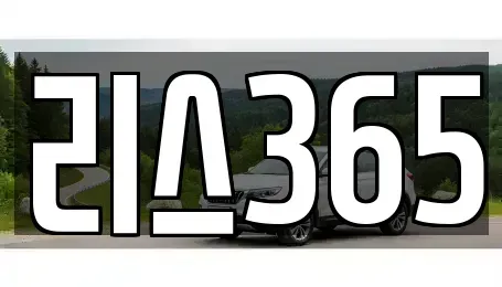 광주광역시 서구 풍암동 장기렌트카 전문 리스365