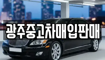 광주광역시 서구 풍암동 중고차,렌트카,중고차매입,중고차매매,장기렌트카,단기렌트카