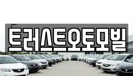 대구 동구 대림동 중고차 전문 트러스트오토모빌