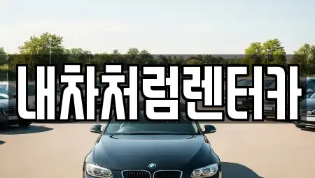 대구 동구 신무동 렌트카 전문 내차처럼렌터카