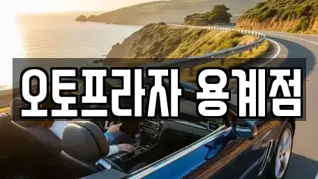 대구 동구 신평동 중고차매매 전문 오토프라자 용계점
