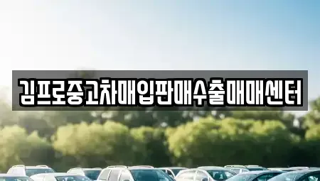대구 동구 신평동 중고차매입 전문 김프로중고차매입판매수출매매센터