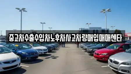 대구 동구 신평동 중고차매입 전문 중고차수출수입차노후차사고차량매입매매센타