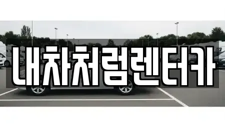 대구 북구 복현동 렌트카 전문 내차처럼렌터카