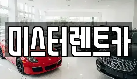 대구 북구 복현동 렌트카 전문 미스터렌트카