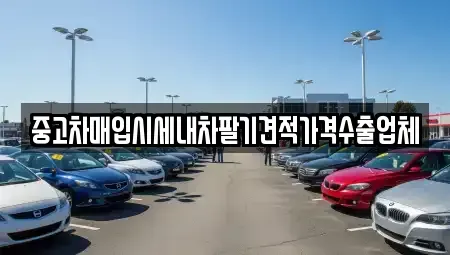 대구 북구 복현동 중고차 전문 중고차매입시세내차팔기견적가격수출업체