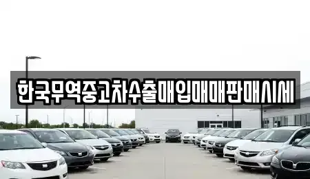 대구 북구 복현동 중고차 전문 한국무역중고차수출매입매매판매시세