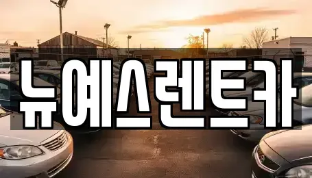 대구 중구 용덕동 렌트카,단기렌트카,장기렌트카,중고차,중고차매매,중고차매입