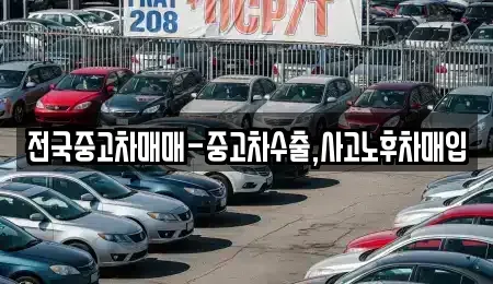 대구 중구 용덕동 중고차 전문 전국중고차매매-중고차수출,사고노후차매입