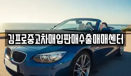대구 중구 용덕동 중고차매입 전문 김프로중고차매입판매수출매매센터