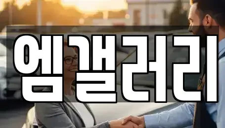 대구광역시 달서구 갈산동 중고차매매 전문 엠갤러리