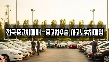 대구광역시 달서구 갈산동 중고차매입 전문 전국중고차매매-중고차수출,사고노후차매입