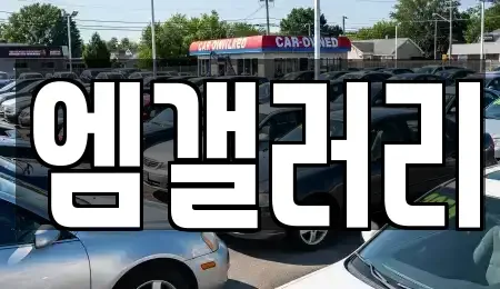 대구광역시 달서구 장기동 중고차,렌트카,중고차매입,중고차매매,장기렌트카,단기렌트카