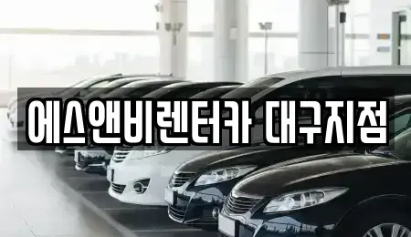 대구광역시 동구 상매동 렌트카 전문 에스앤비렌터카 대구지점