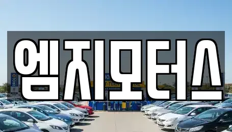 대구광역시 동구 상매동 중고차 전문 엠지모터스