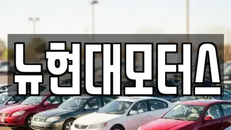 대구광역시 동구 숙천동 중고차 전문 뉴현대모터스