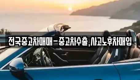 대구광역시 동구 숙천동 중고차매입 전문 전국중고차매매-중고차수출,사고노후차매입