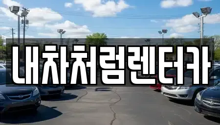 대구광역시 북구 검단동 렌트카,단기렌트카,장기렌트카,중고차,중고차매매,중고차매입