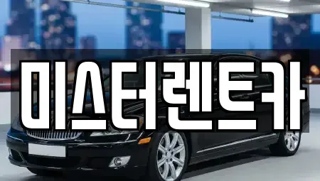 대구광역시 북구 검단동 렌트카 전문 미스터렌트카