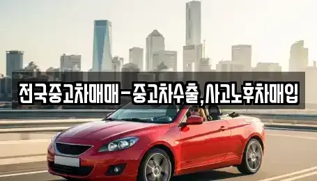 대구광역시 북구 검단동 중고차 전문 전국중고차매매-중고차수출,사고노후차매입