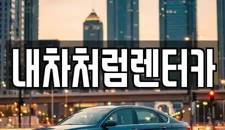 대구광역시 북구 연경동 렌트카 전문 내차처럼렌터카