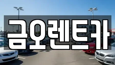 대구광역시 수성구 단기렌트카 전문 금오렌트카