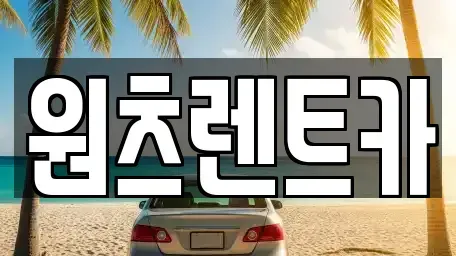 대구광역시 수성구 수성동2가 렌트카 전문 원츠렌트카