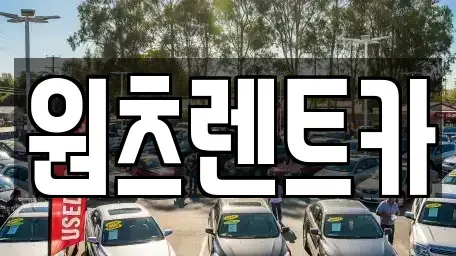 대구광역시 수성구 수성동2가 렌트카 전문 원츠렌트카
