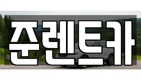 대구광역시 수성구 수성동2가 렌트카 전문 준렌트카