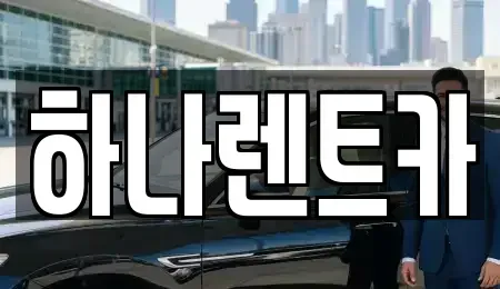 대구광역시 수성구 수성동2가 렌트카 전문 하나렌트카