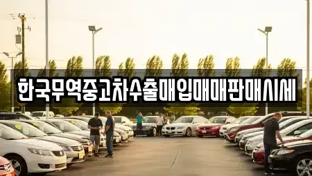 대구광역시 수성구 수성동2가 중고차매매,단기렌트카,중고차매입,장기렌트카,중고차,렌트카