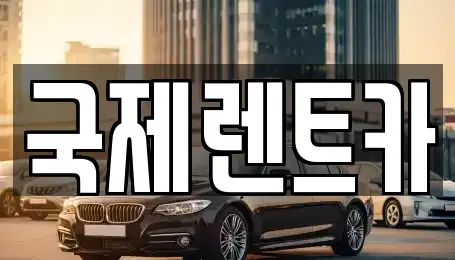 대구광역시 수성구 장기렌트카 전문 국제렌트카