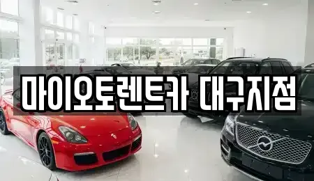 대구광역시 수성구 장기렌트카 전문 마이오토렌트카 대구지점