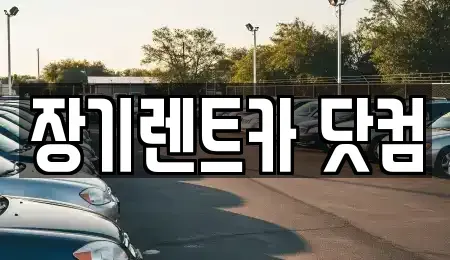 대구광역시 수성구 장기렌트카 전문 장기렌트카 닷컴