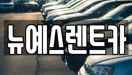 대구광역시 중구 계산동1가 렌트카 전문 뉴예스렌트카