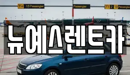 대구광역시 중구 교동 렌트카 전문 뉴예스렌트카